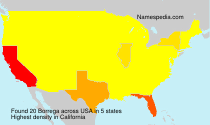 Borrega Borrega