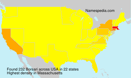 Borsari Borsari
