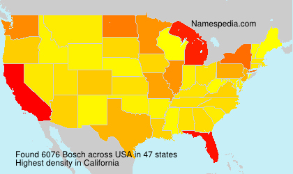 Surname Bosch in USA Surname Bosch in USA