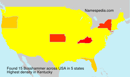 Bosshammer Bosshammer