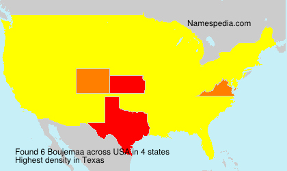 Surname Boujemaa in USA Surname Boujemaa in USA