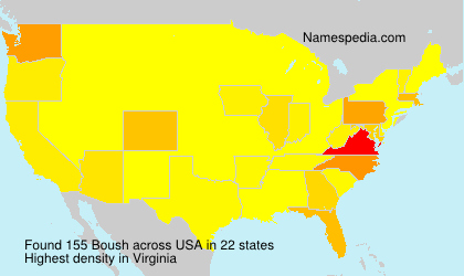 Surname Boush in USA Surname Boush in USA