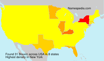 Surname Bouvin in USA Surname Bouvin in USA