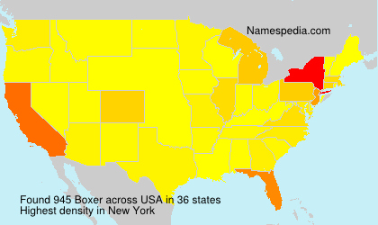Surname Boxer in USA Surname Boxer in USA