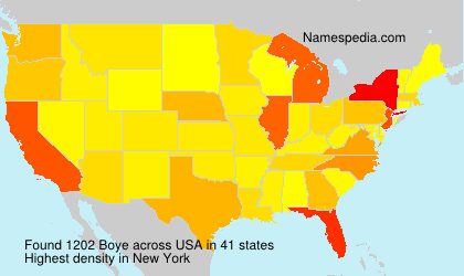 Surname Boye in USA Surname Boye in USA