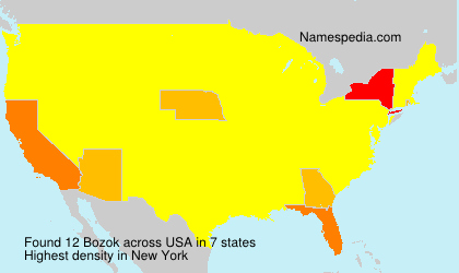 Surname Bozok in USA Surname Bozok in USA