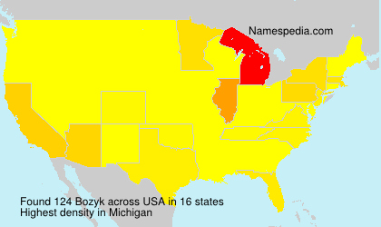 Surname Bozyk in USA Surname Bozyk in USA