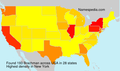 Surname Brachman in USA Surname Brachman in USA