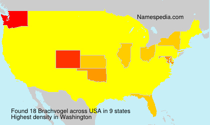 Surname Brachvogel in USA Surname Brachvogel in USA