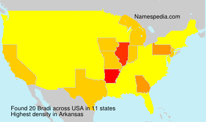 Surname Bradi in USA Surname Bradi in USA