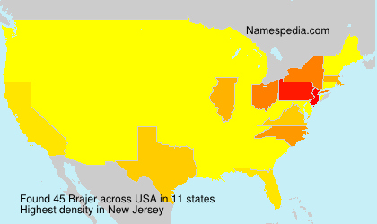 Surname Brajer in USA Surname Brajer in USA