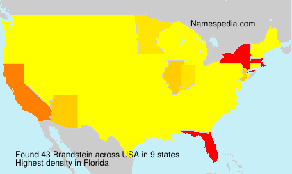 Surname Brandstein in USA Surname Brandstein in USA
