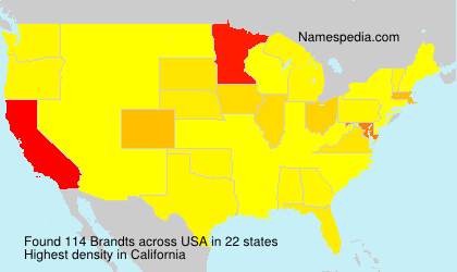 Brandts Brandts