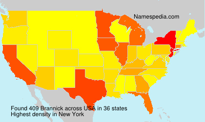Surname Brannick in USA