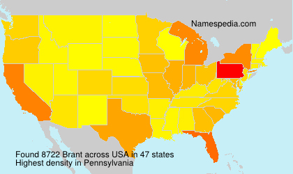 Surname Brant in USA Surname Brant in USA