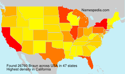 Surname Braun in USA