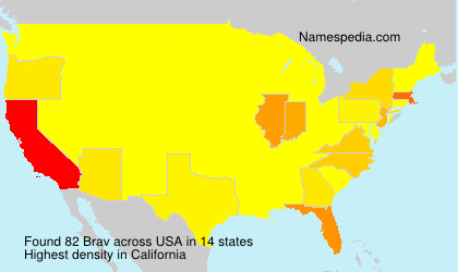 Surname Brav in USA