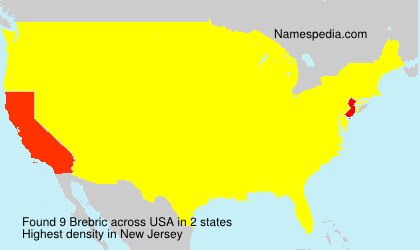 Surname Brebric in USA