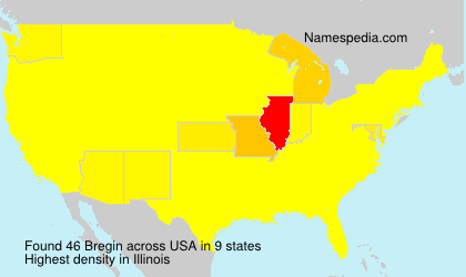 Surname Bregin in USA