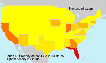 Surname Brehany in USA