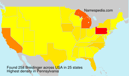 Surname Breidinger in USA Surname Breidinger in USA