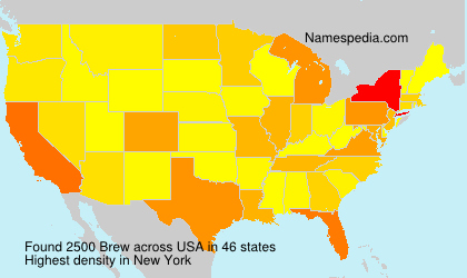 Surname Brew in USA Surname Brew in USA