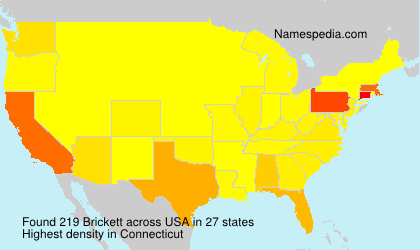 Surname Brickett in USA Surname Brickett in USA