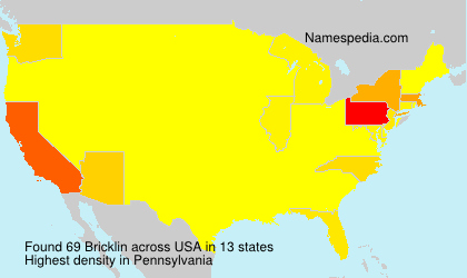 Surname Bricklin in USA Surname Bricklin in USA