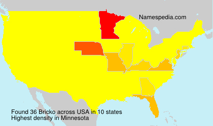 Surname Bricko in USA Surname Bricko in USA