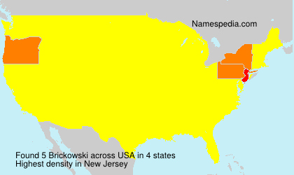 Surname Brickowski in USA Surname Brickowski in USA