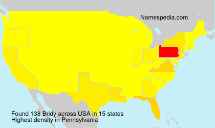 Surname Bridy in USA Surname Bridy in USA