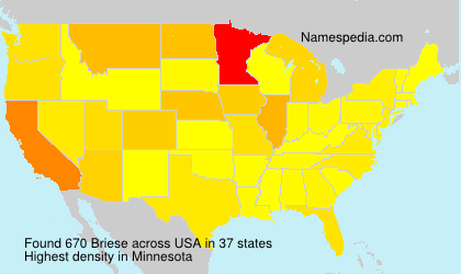 Surname Briese in USA Surname Briese in USA