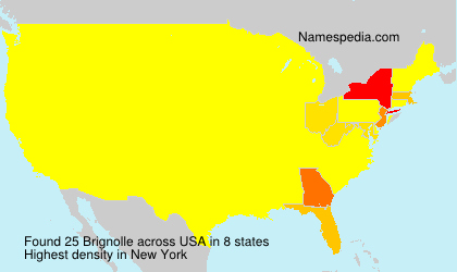 Surname Brignolle in USA