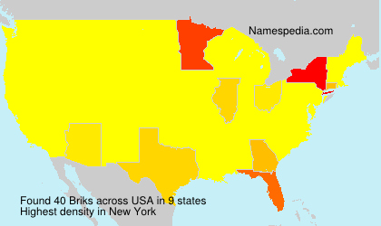 Surname Briks in USA Surname Briks in USA