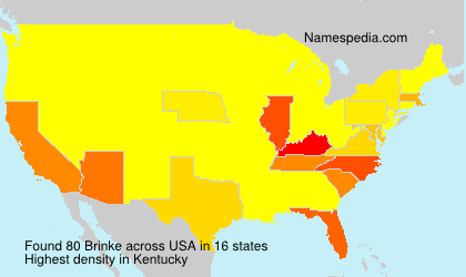 Surname Brinke in USA Surname Brinke in USA
