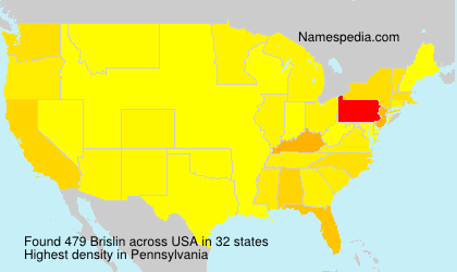 Surname Brislin in USA Surname Brislin in USA