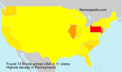 Surname Brizek in USA Surname Brizek in USA