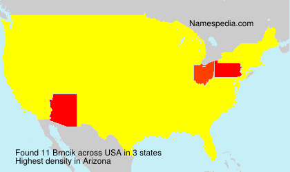 Surname Brncik in USA Surname Brncik in USA