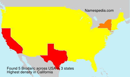 Surname Brodaric in USA Surname Brodaric in USA