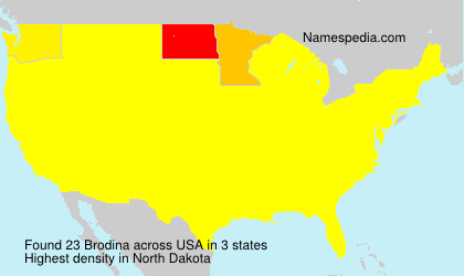 Surname Brodina in USA Surname Brodina in USA