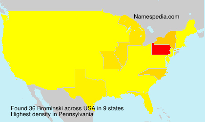 Surname Brominski in USA Surname Brominski in USA