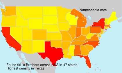 Brothers Brothers