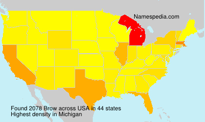 Brow Brow