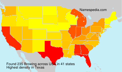 Surname Browing in USA Surname Browing in USA