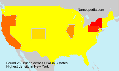 Surname Brucha in USA