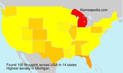 Surname Bruggink in USA Surname Bruggink in USA