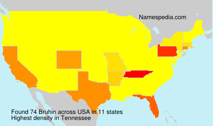 Surname Bruhin in USA Surname Bruhin in USA