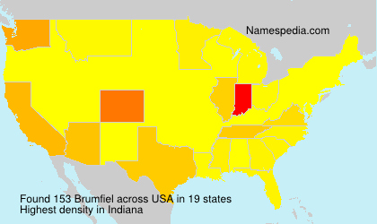 Brumfiel Brumfiel