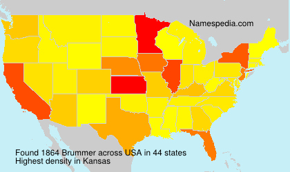 Surname Brummer in USA