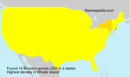 Surname Brunero in USA Surname Brunero in USA